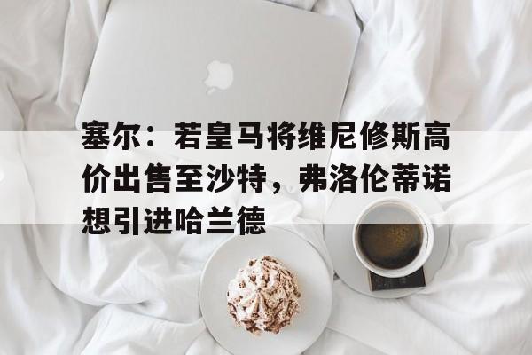 关于塞尔：若皇马将维尼修斯高价出售至沙特，弗洛伦蒂诺想引进哈兰德的信息